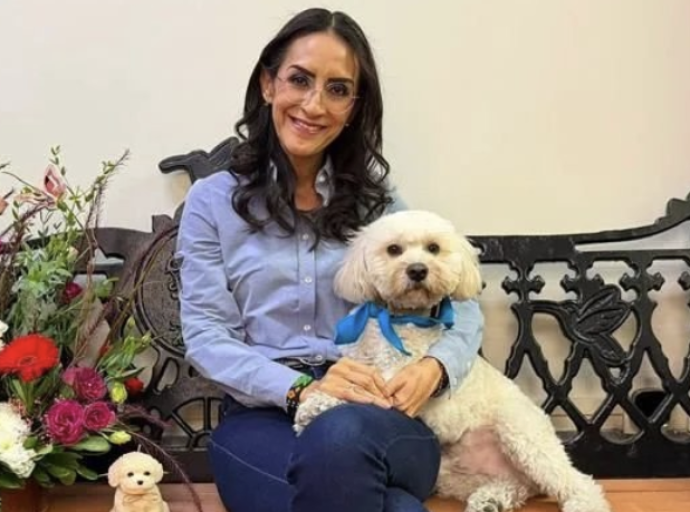 Historias Que Roban el Corazón
